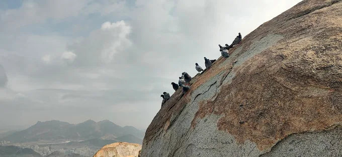 Makkah: Full-Day Ziyarah and Islamic Heritage Tour with Lunch