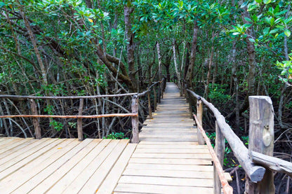 Zanzibar: Jozani Forest and Butterfly Centre Private Tour