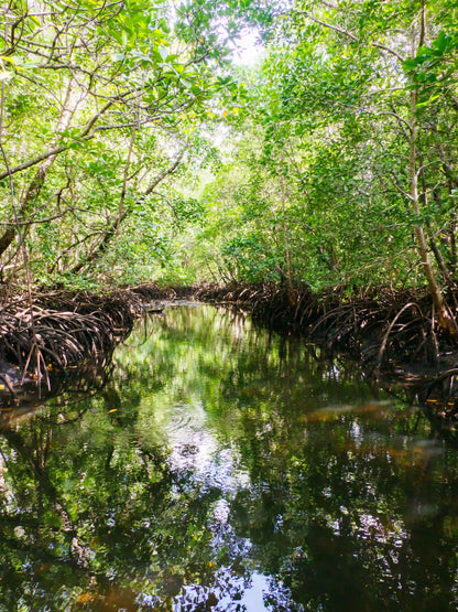 Zanzibar: Jozani Forest and Butterfly Centre Private Tour