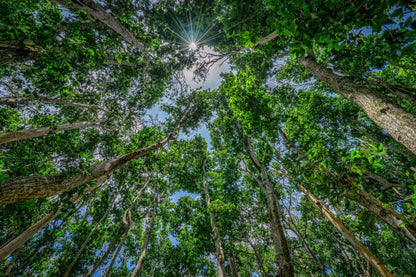 Zanzibar: Jozani Forest and Butterfly Centre Private Tour