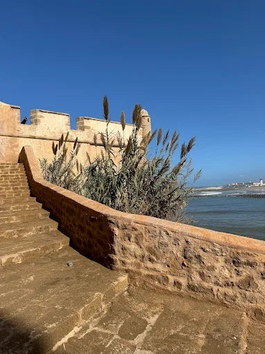 From Fès ou Meknès : excursion d’une journée à Rabat avec visite guidée