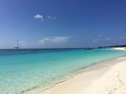 Zanzibar: Mnemba Island Snorkeling and Kendwa Beach Private Tour