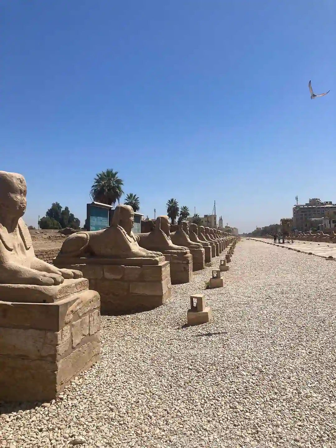 Luxor: Tur Pribadi Berpemandu East Bank dengan Kunjungan ke Kuil Karnak dan Kuil Luxor