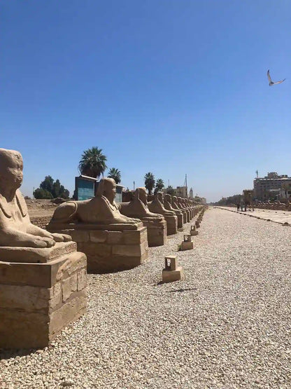 Luxor: Tur Pribadi Berpemandu East Bank dengan Kunjungan ke Kuil Karnak dan Kuil Luxor