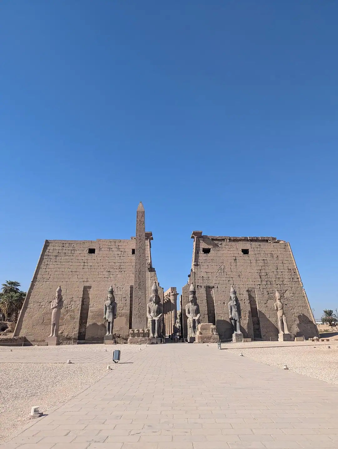 Luxor: Tur Pribadi Berpemandu East Bank dengan Kunjungan ke Kuil Karnak dan Kuil Luxor