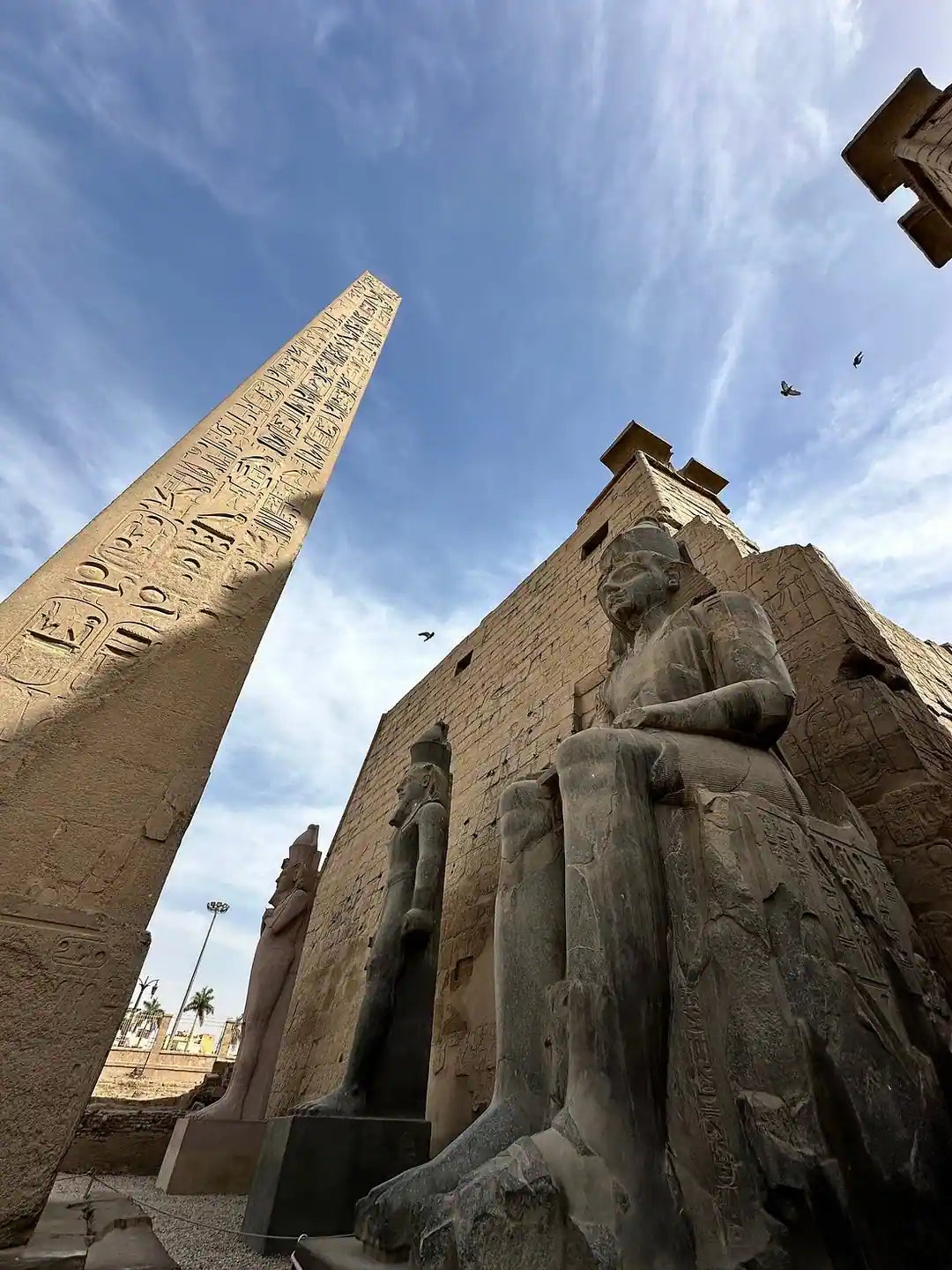Luxor: Full-Day East and West Banks Highlights Private Tour