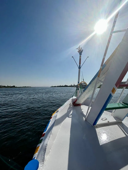 Luxor: Privat guidad dagsutflykt på östra och västra stranden