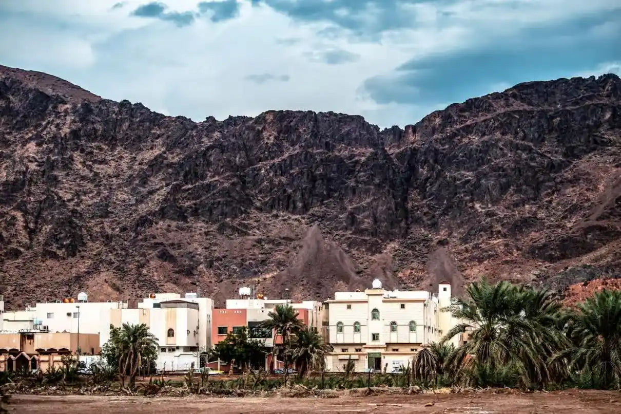 Madinah: Heldagsupplevelse av islamiskt arv med lunch – Shouf