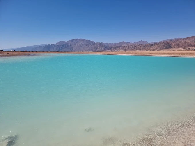 Sharm El Sheikh: Ras Mohammed, Allah-porten, Magiske innsjøen og Mangrover Snorkletur med Buss