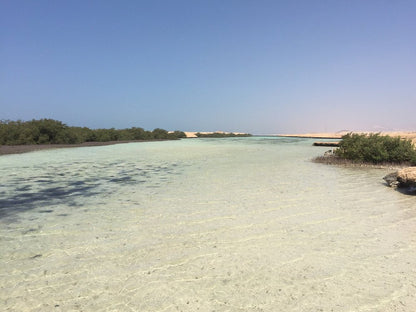 Sharm El Sheikh: Ras Mohammed, Allah-porten, Magiske innsjøen og Mangrover Snorkletur med Buss