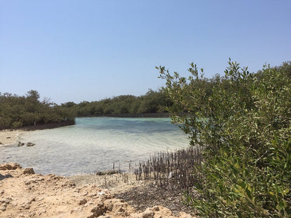 Sharm El Sheikh: Ras Mohammed, Allah-porten, Magiske innsjøen og Mangrover Snorkletur med Buss