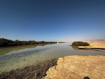 Sharm El Sheikh: Ras Mohammed, Allah-porten, Magiske innsjøen og Mangrover Snorkletur med Buss
