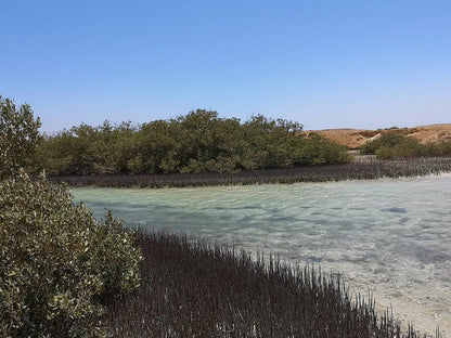 Sharm El Sheikh: Ras Mohammed, Allah-porten, Magiske innsjøen og Mangrover Snorkletur med Buss
