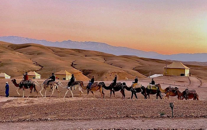Marrakesch: Kamelritt in der Agafay-Wüste, Livemusik, Abendessen und Feuershow