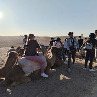 Marrakech: Private Tour to Agafay Desert with Camel Ride and Sunset Dinner
