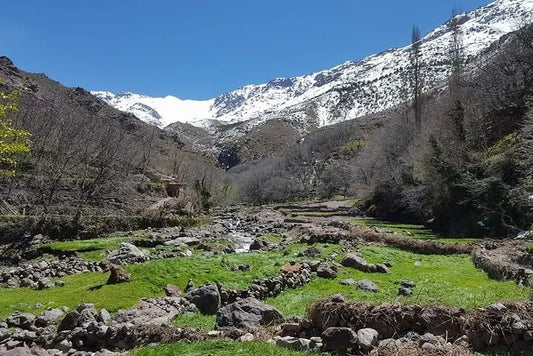 From Marrakech: Atlas Mountains Day Trek Experience