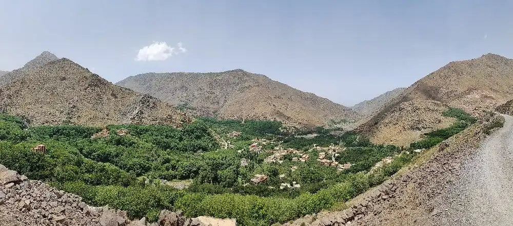 من مراكش: تجربة رحلة مشي ليوم كامل في جبال الأطلس