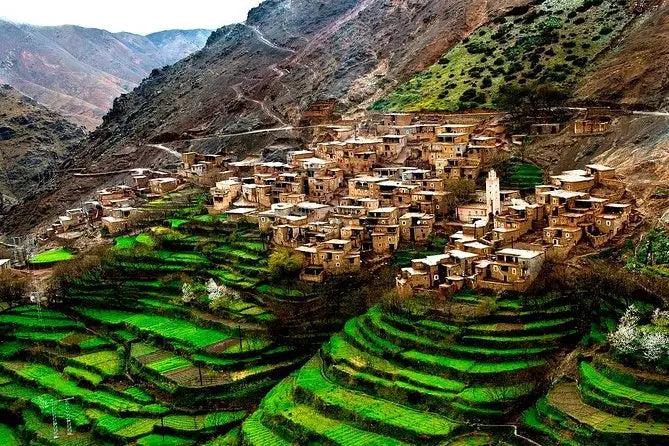 من مراكش: تجربة رحلة مشي ليوم كامل في جبال الأطلس