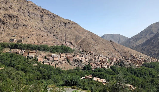 From Marrakech: Atlas Mountains and Berber Villages Full Day Private Trip