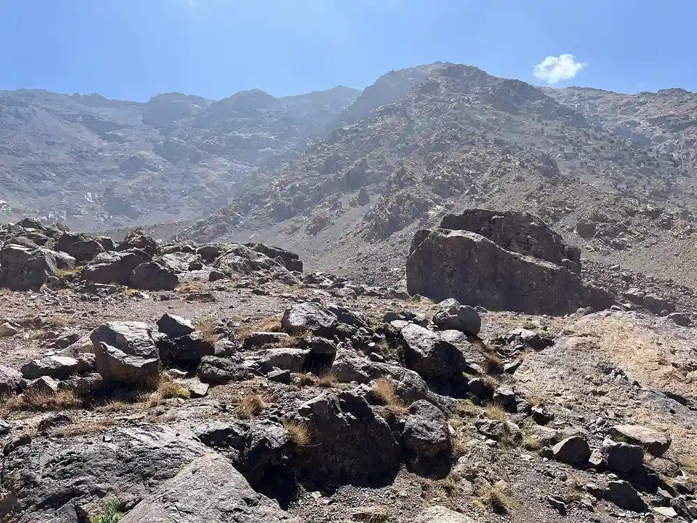 From 马拉喀什出发：阿特拉斯山脉与柏柏尔村庄全天私人之旅