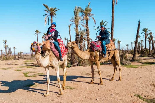 Marrakech: Kameltur og firehjuling i Palmeraie