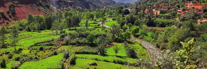 From Marrakeszu: prywatna jednodniowa wycieczka do Doliny Ourika i gór Atlas