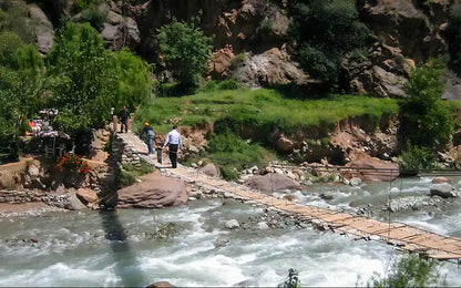 From Marrakeszu: prywatna jednodniowa wycieczka do Doliny Ourika i gór Atlas