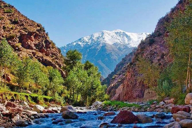 From Marrakeszu: prywatna jednodniowa wycieczka do Doliny Ourika i gór Atlas