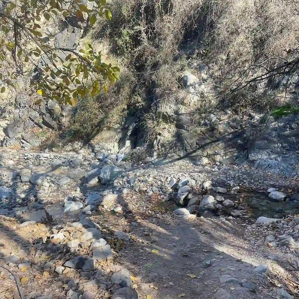 From Marrakeszu: prywatna jednodniowa wycieczka do Doliny Ourika i gór Atlas