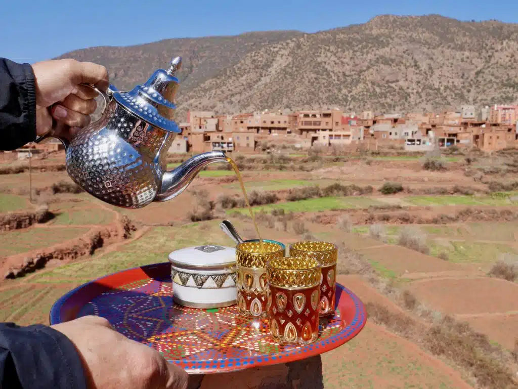 From Marrakeszu: prywatna jednodniowa wycieczka do Doliny Ourika i gór Atlas