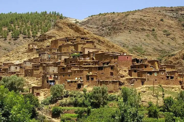 From Marrakeszu: prywatna jednodniowa wycieczka do Doliny Ourika i gór Atlas