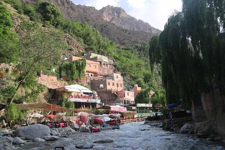 From Marrakeszu: prywatna jednodniowa wycieczka do Doliny Ourika i gór Atlas