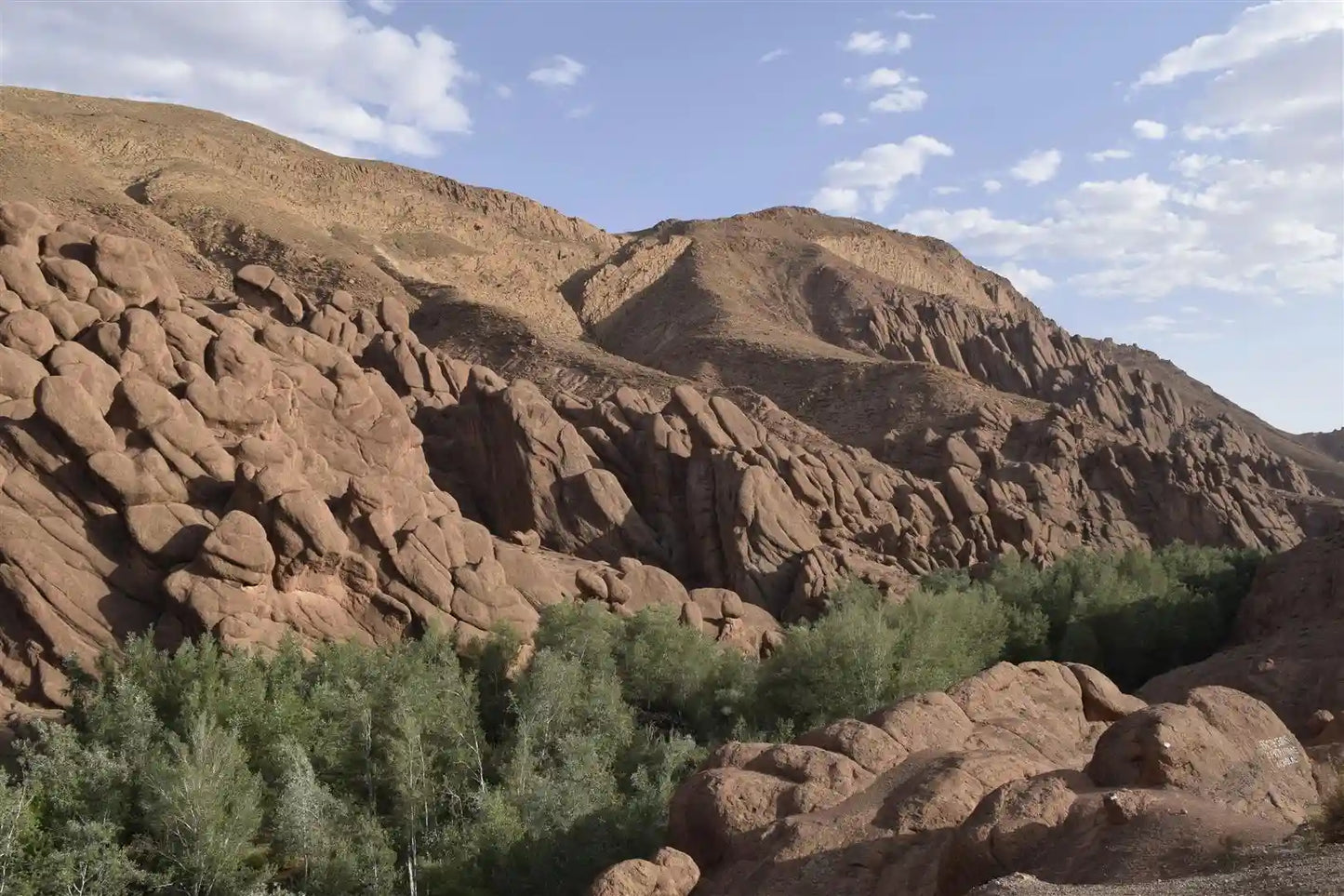 From Marrakech: tour privato di un giorno alle cascate di Ouzoud