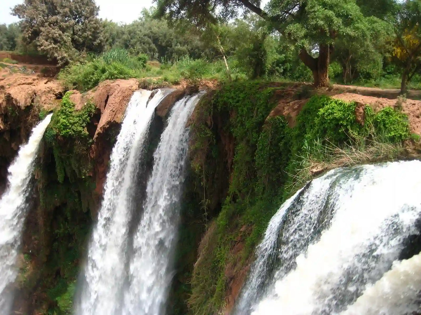 From Marrakech: tour privato di un giorno alle cascate di Ouzoud