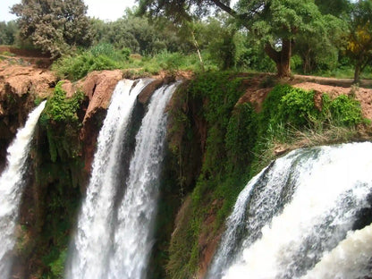 From Marrakech: tour privato di un giorno alle cascate di Ouzoud