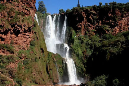 From Marrakech: tour privato di un giorno alle cascate di Ouzoud