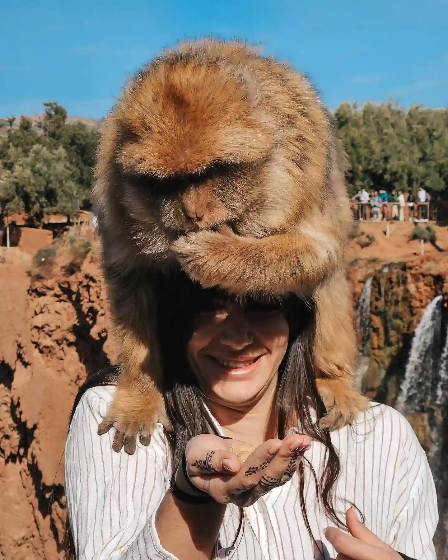 From Marrakech: Ouzoud Waterfalls Private Day Trip