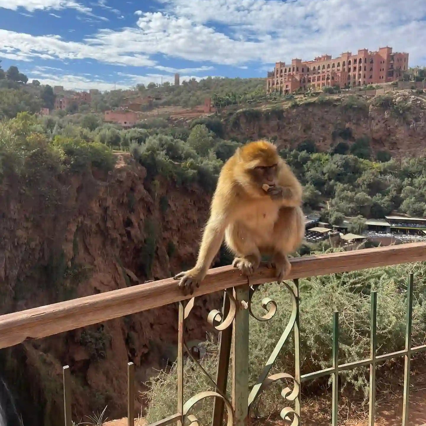From Marrakech: Ouzoud Waterfalls Private Day Trip