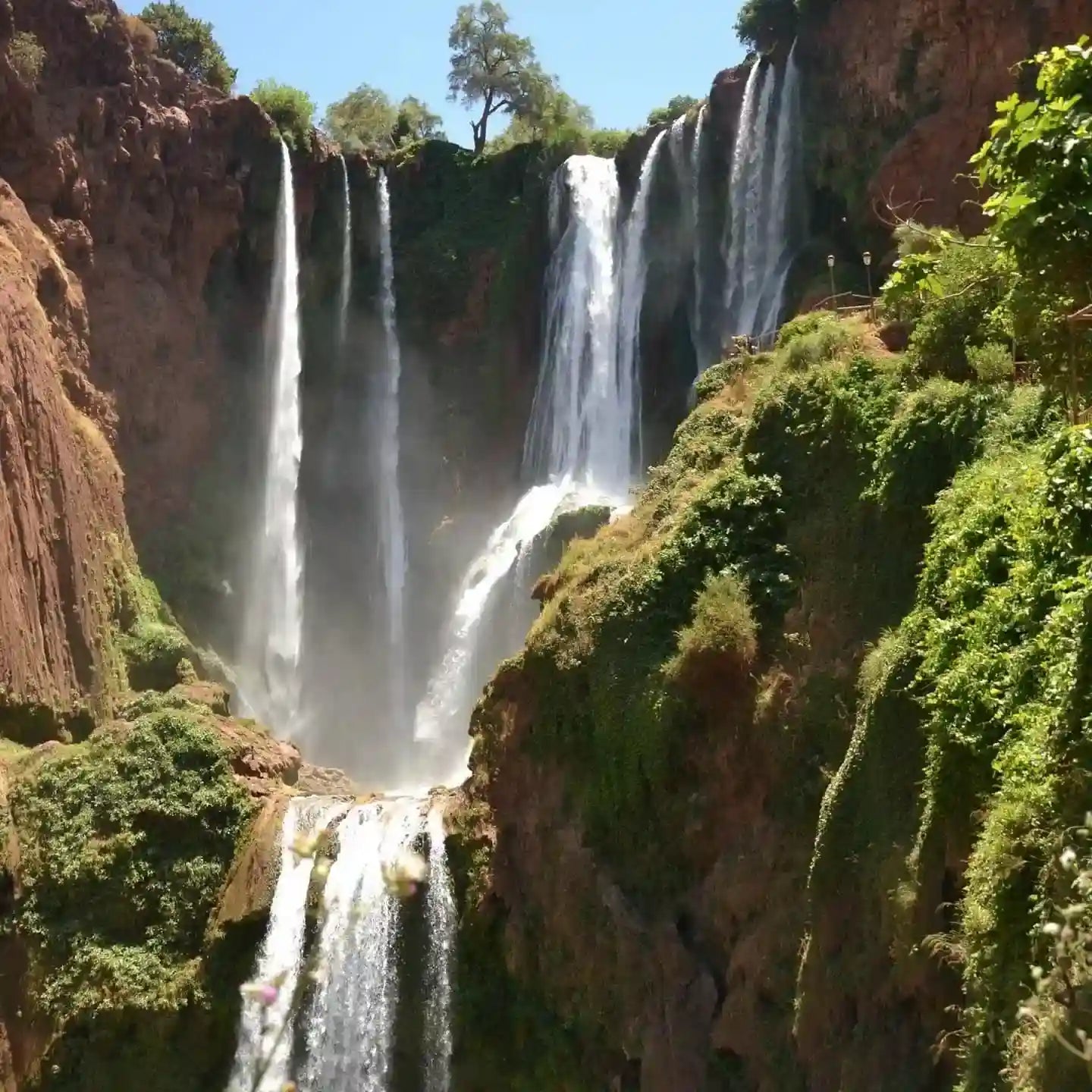 From Marrakech: Ouzoud Waterfalls Private Day Trip