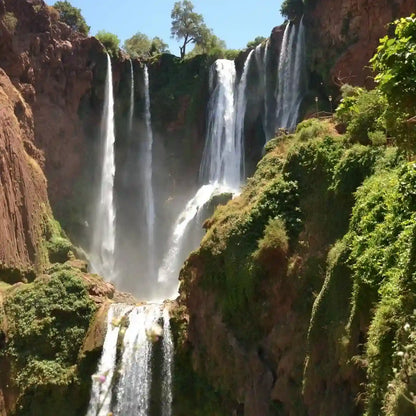 From Marrakech: Ouzoud Waterfalls Private Day Trip