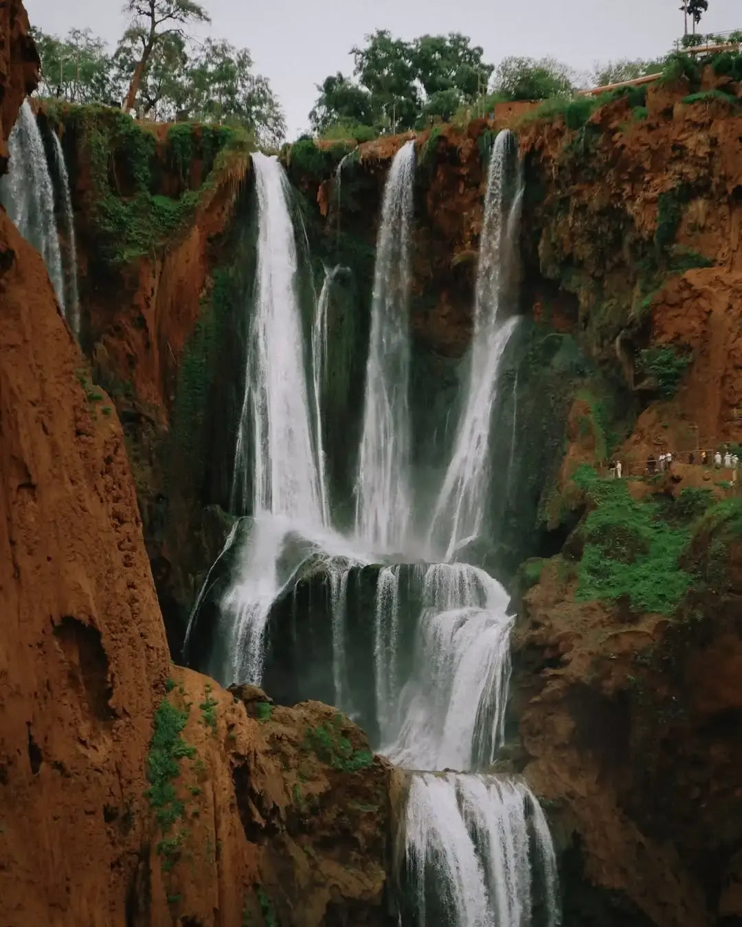 From Marrakech: Ouzoud Waterfalls Private Day Trip
