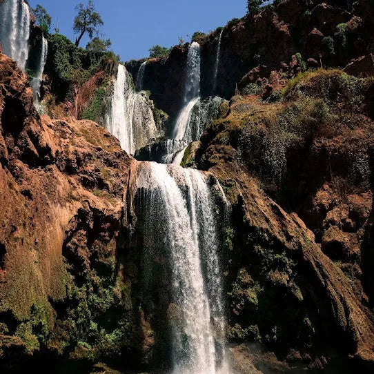 From Marrakech: Ouzoud Waterfalls Private Day Trip
