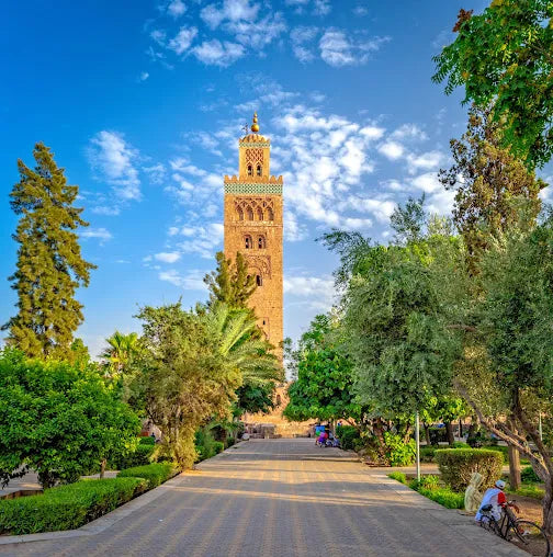 Marrakech: Tur privat al Medinei și al atracțiilor principale ale orașului