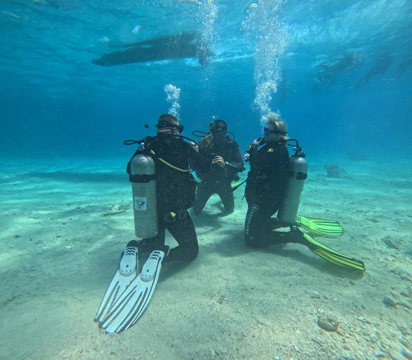 Marsa Alam: Coral Garden Snorkelbåttur med lunsj