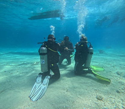 Marsa Alam: Coral Garden Snorkelbåttur med lunsj