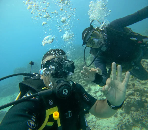 Marsa Alam: Coral Garden Snorkelbåttur med lunsj