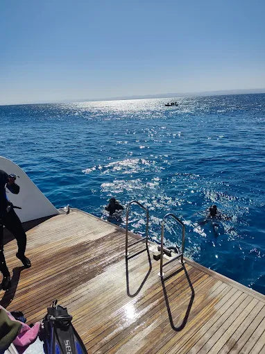 مرسى علم: رحلة قارب الغطس Samaday Dolphin House مع الغداء
