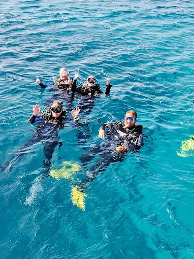 Marsa Alam: Samaday Dolphin House Schnorchelbootfahrt mit Mittagessen