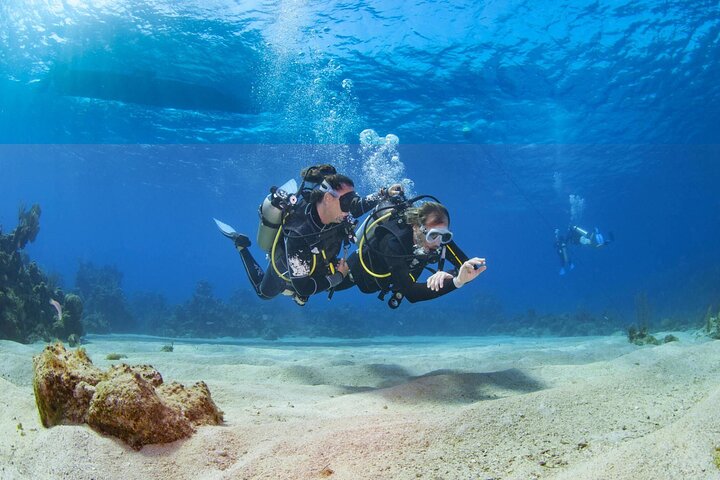 Optional Introductory or Certified Dive