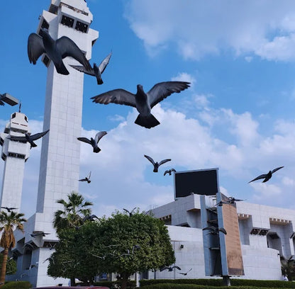 Makkah: Full-Day Ziyarah and Islamic Heritage Tour with Lunch